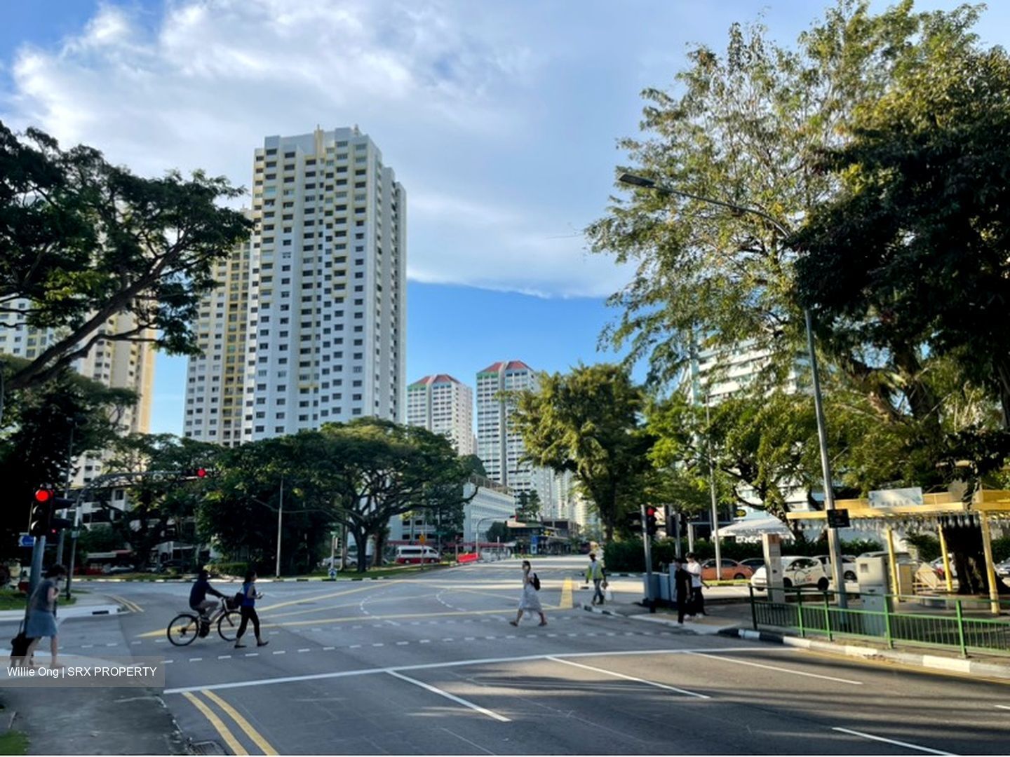 Tiong Bahru Road (D3), Shop House #596332001